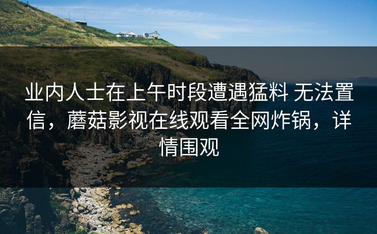 业内人士在上午时段遭遇猛料 无法置信，蘑菇影视在线观看全网炸锅，详情围观