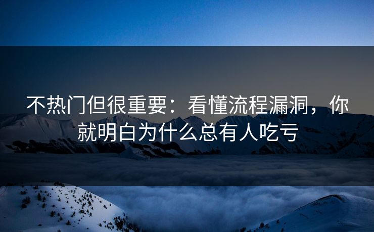不热门但很重要：看懂流程漏洞，你就明白为什么总有人吃亏