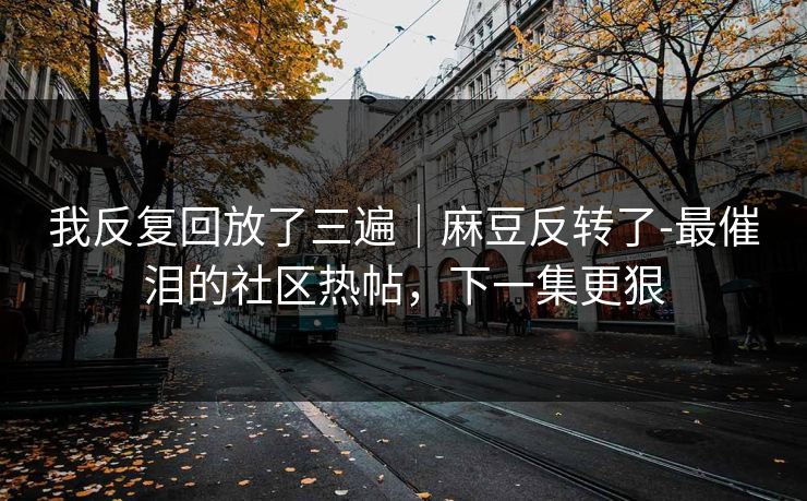 我反复回放了三遍｜麻豆反转了-最催泪的社区热帖，下一集更狠